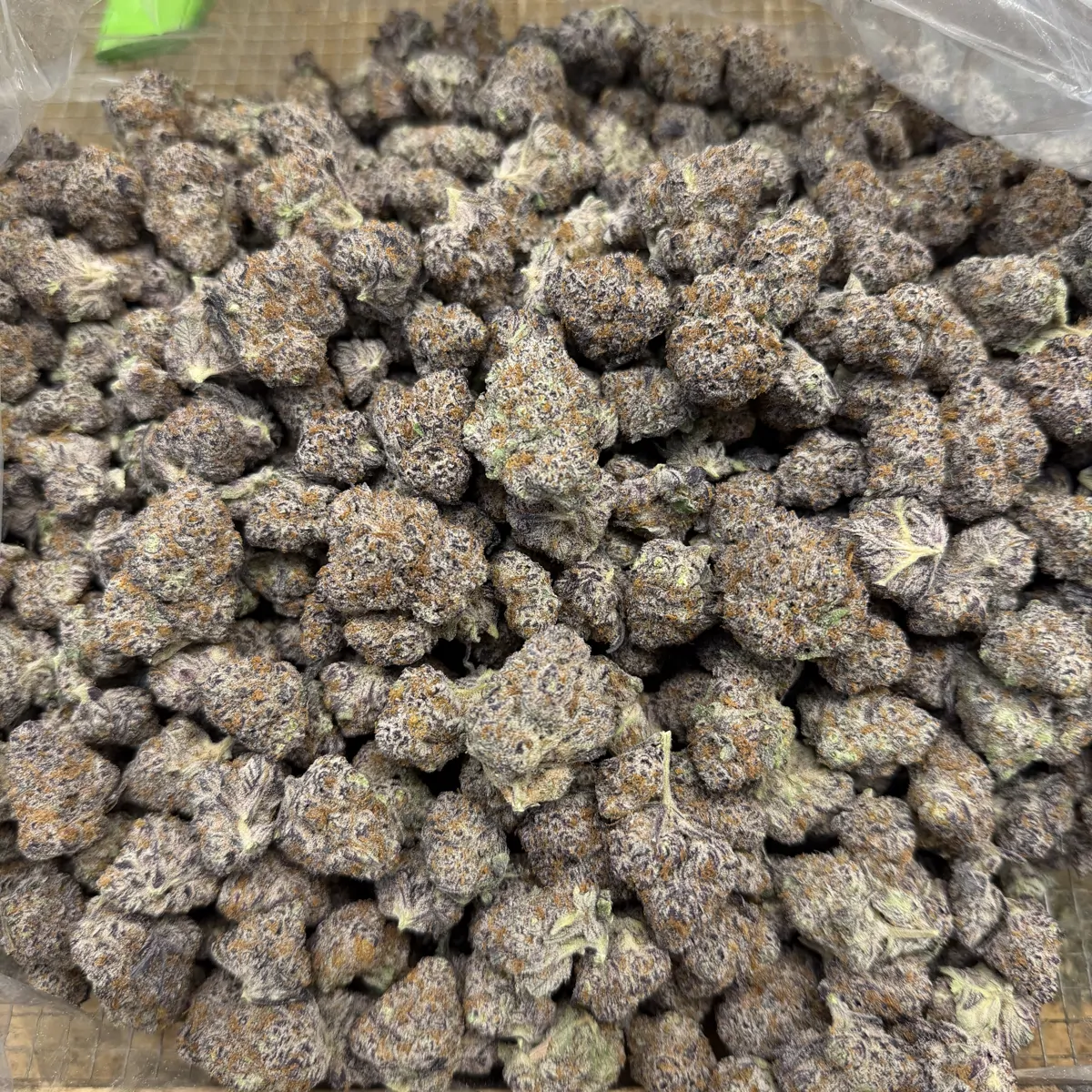 Blueberry Haze Flower